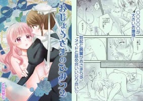 [Konbudashi (Konbu)] Ojou-sama no Himitsu 2