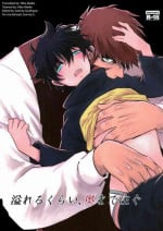 [KINO (Miki)] Afureru kurai, okumade sosogu | Overflowing, Only Spill Inside (Kekkai Sensen) [English] [BC Scanilations]