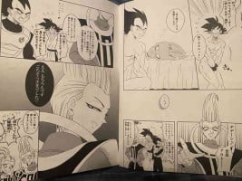 Vegeta x goku