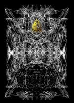 [Decay techS (Megrim Haruyo)] Predatory Duality [Digital]