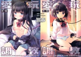 (C101) [D.N.A.Lab., CHRONOLOG (Miyasu Risa, Sakurazawa Izumi)] Aigan Choukyou [Chinese] [无毒汉化组]