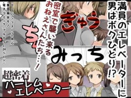 [excess m (zzinzinz)] Chou Micchaku! Harem Elevator | Close Quarters! Harem Elevator [English] [Solid Rose]