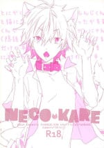 (Kimi to no Rendan 4) [Mecoro (meco)] NECOKARE (Neon Genesis Evangelion)
