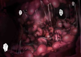 [Onikun] "Heroine Jutai Meirei Madoushin Hime Kari Hen Khan Zaky" ED