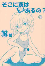 (C80) [Piglorion (Barbie Tsuyuki)] Soko ni Ai wa aru no? 3 (Detective Conan)