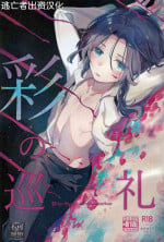 (C103) [Pocorit (Kawasemi Makiko)] Irodori no Junrei - Pilgrimage of colouration [Chinese] [逃亡者×真不可视汉化组]