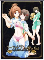 (COMIC1☆17) [Bijutsubu (Shiduki Michiru)] Euphobian no Hibiki: Nonet - Euphobian will resound. (Hibike! Euphonium) [Chinese] [透明声彩汉化组]