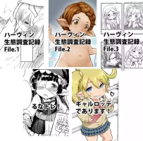 [ASGO (Zanzi)] Harvin Copybook Magazine Summary (Granblue Fantasy) [Digital]