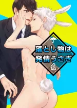 [YellowPost (かんたま, チキ)] 落し物は発情うさぎ