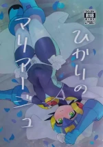 [Hokuto no Take (Kokeda)] Hikari no mariaaju (Rockman.EXE)