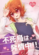 [High Iro (Akaru)] Fushichou wa Hatsujouchuu!! (Kaitou Joker) [Digital]