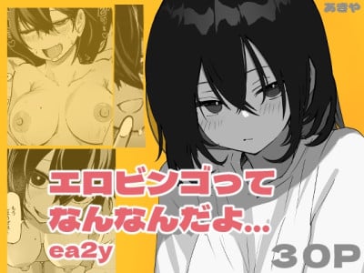[Akiya (Akiyamine)] Ero Bingo tte Nannanda yo... ea2y