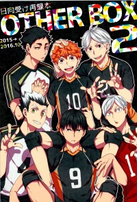 (RTS!! 15) [Yojohan (fzou)] Hinatauke Sairokuhon OTHER BOX 2 (Haikyuu!!)
