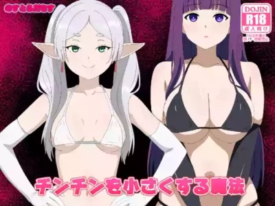 [Nostradamus] Chinchin o Chiisaku suru Mahou (Sousou no Frieren)