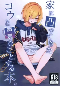 (#Nijisousaku 11) [Hamehame Service Area (Cr-R)] Ie ni Totte Kita Kou to Ecchi na Koto Suru Hon. (Uzuki Kou)