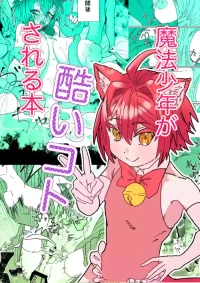 [胃須の研究所] 魔法少年が酷いコトされる本