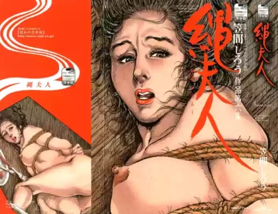 [Kasama Shiro] Kasama Shirou Sakuhinshuu Vol. 6 Nawa Fujin [Chinese]