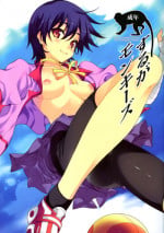 (COMIC1☆5) [Renai Mangaka (Naruse Hirofumi)] Suruga Monkeys (Bakemonogatari) [English] [life4Kaoru]