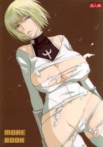 (C72) [Tenkaichi Baby's (BENNY'S, Inomoto Rikako)] MORE BOOK (Claymore) [English] [SaHa]