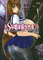 (C82) [Nozarashi (Nozarashi Satoru)] Do-S na Hime wa Shigokareru!?