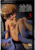 (C81) [Al Dente (Tsuna)] Hoshoku 3